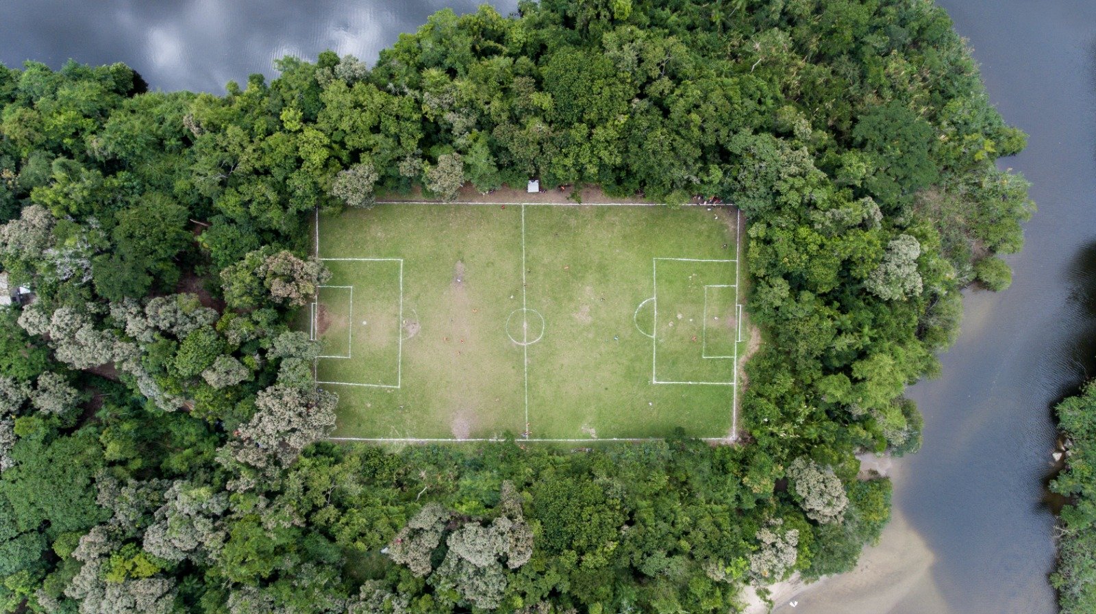 Mata Enquadrada – Ubatuba (São Paulo, Brasil). Série Olhos do Vento
