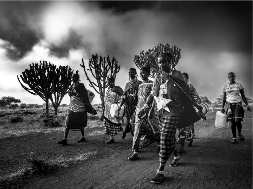 Sem Título, 2019/2020