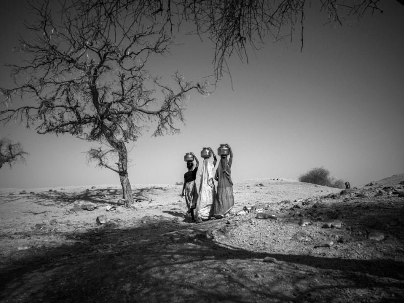 Sem Título, 2019/2020