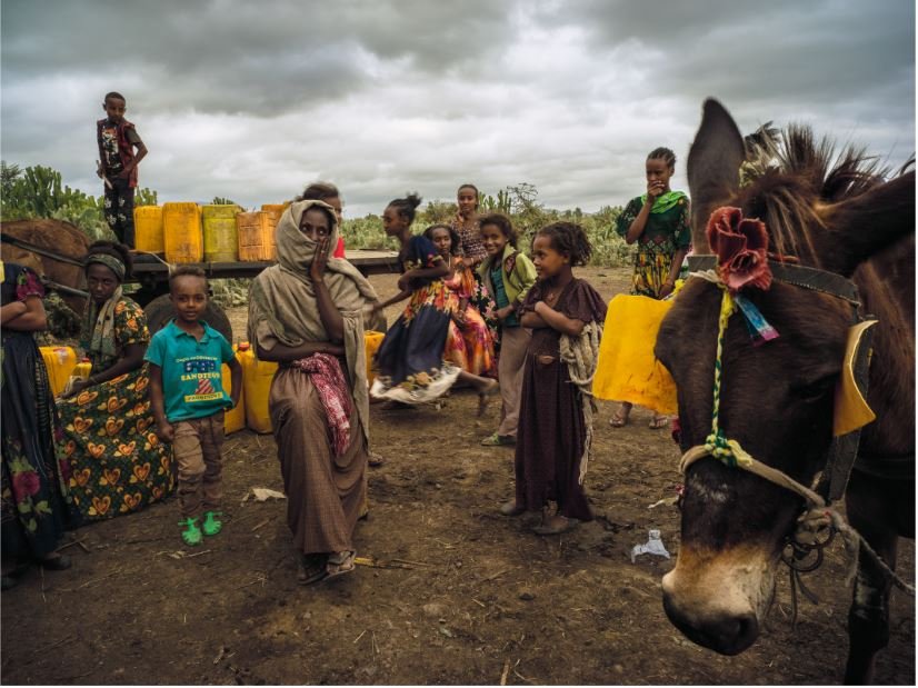 Sem Título, 2019/2020