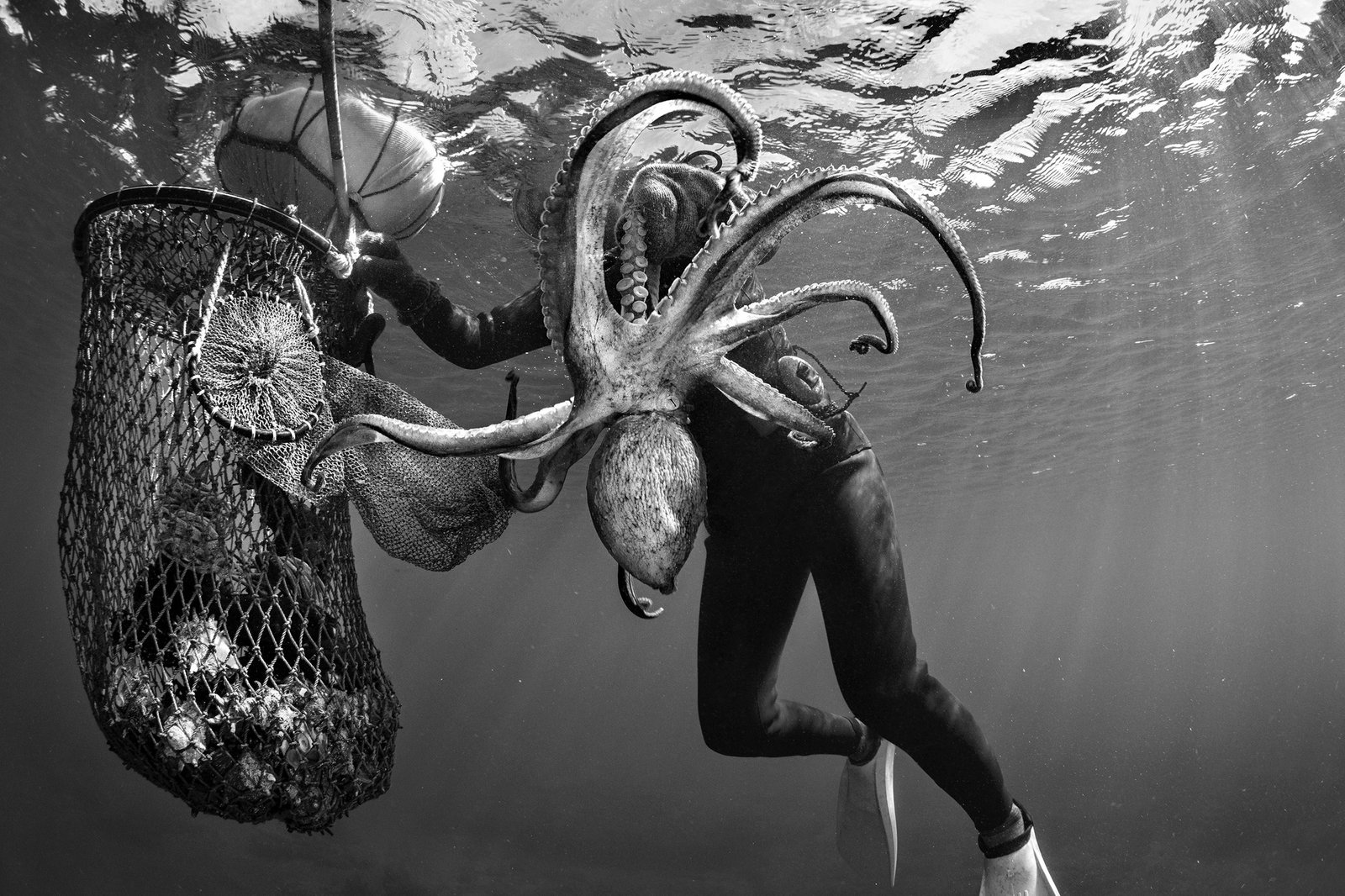 Haenyeo, Mulheres do Mar:, Hong Jung Ja, 73 anos, haenyeo, 2017