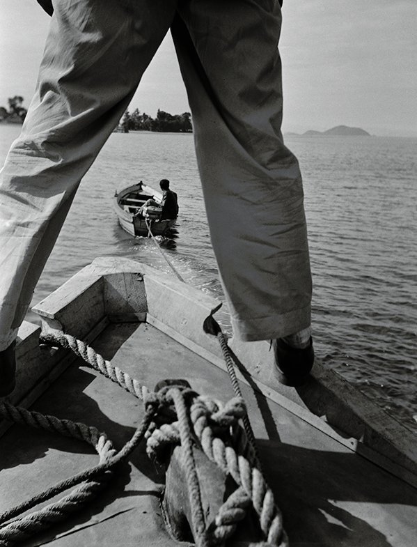 Sem Título, c. 1951 - 1955