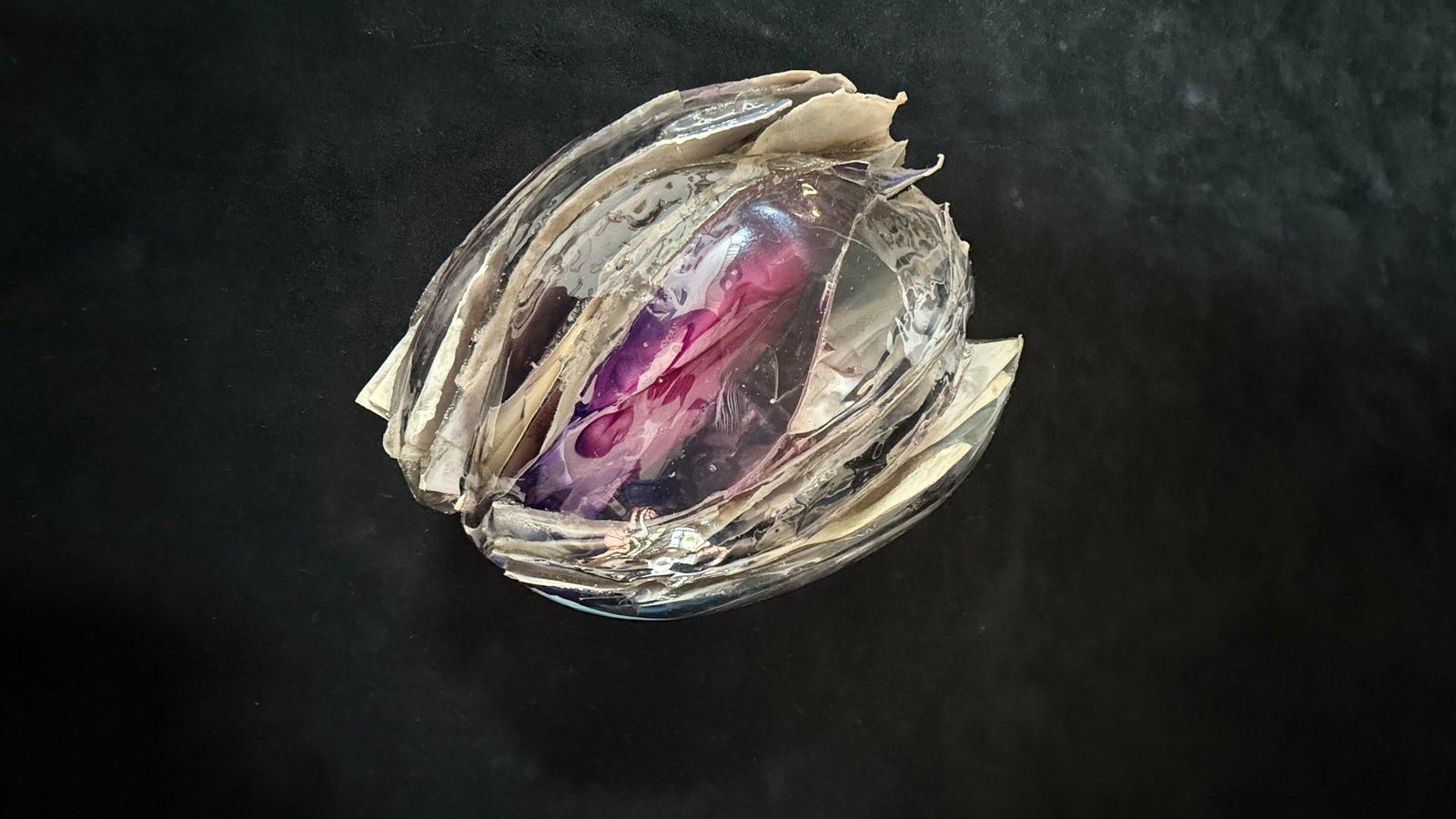 Fóssil pedra-semente Botão, 2022