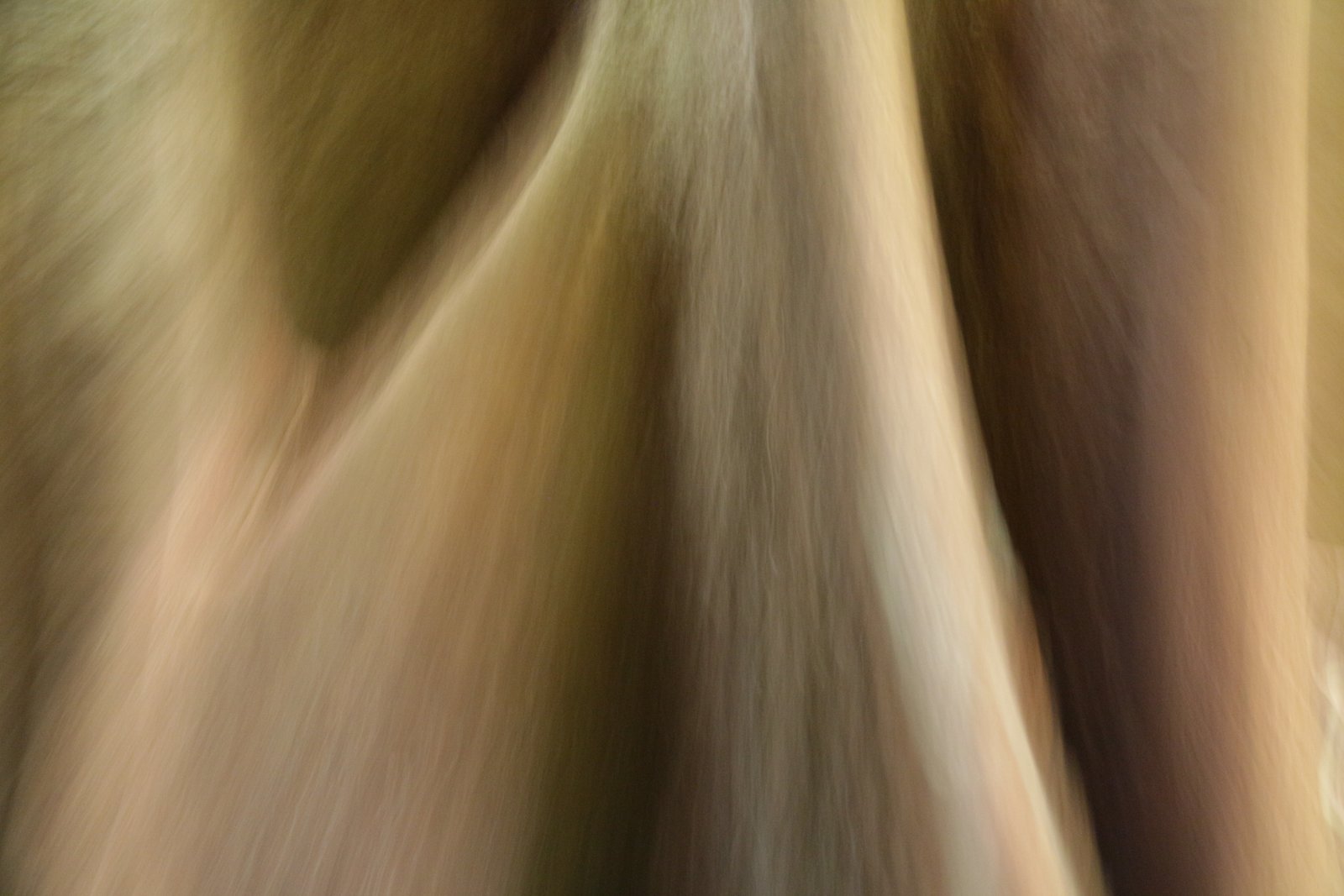 Parque Goeldi (Belém, Pará), 2014