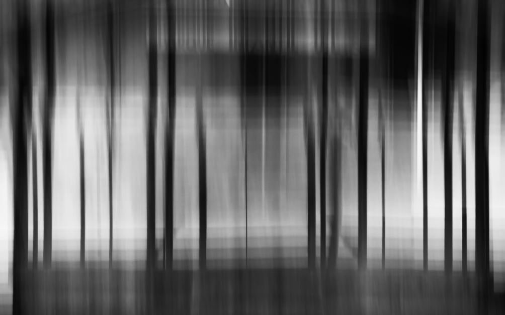 Coisas que ficaram só nos sonhos, 2024