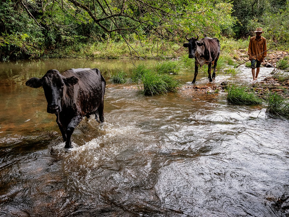 Ensaio Derradeiro 10