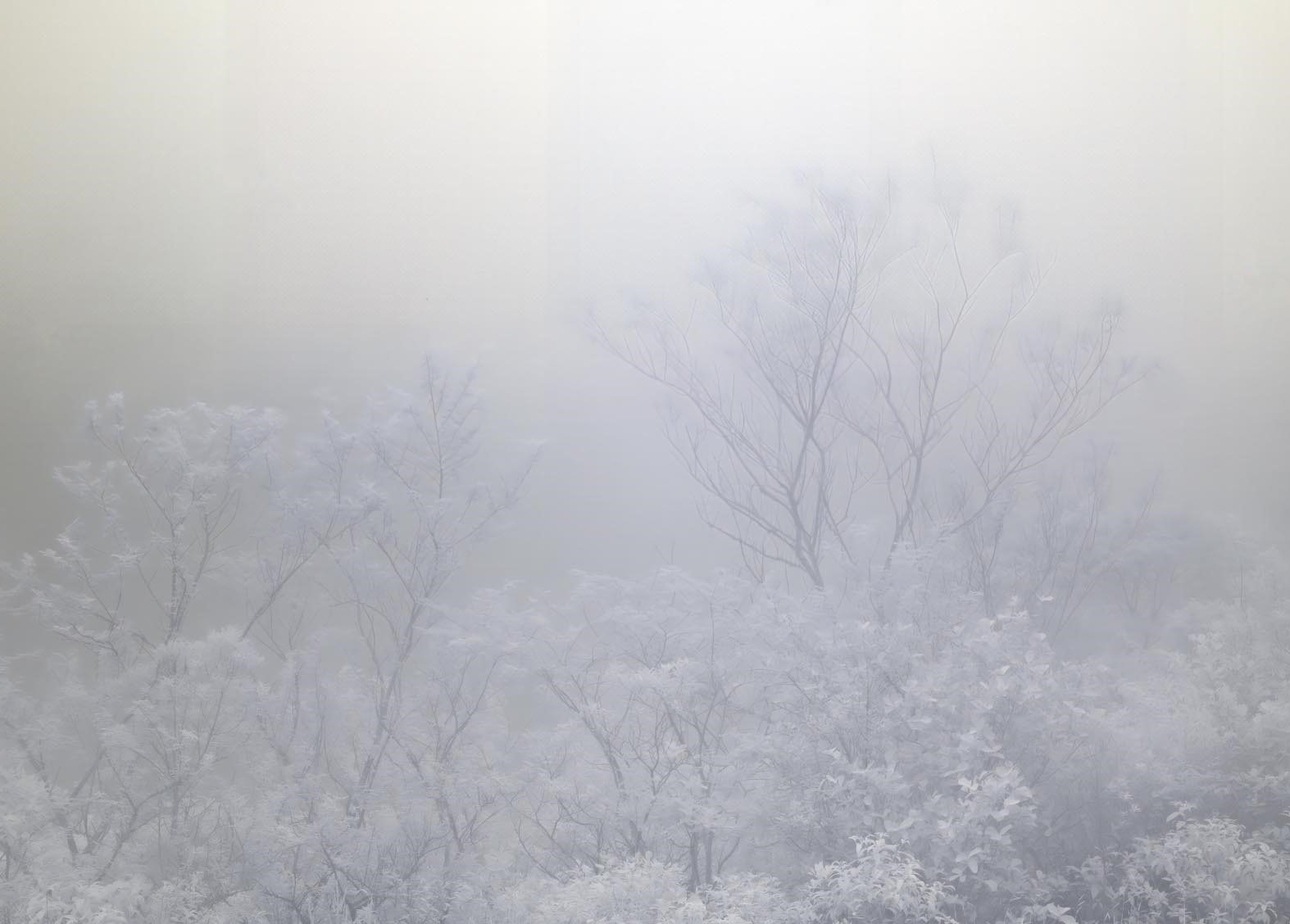 Mata Atlântica (latus sensu) 3