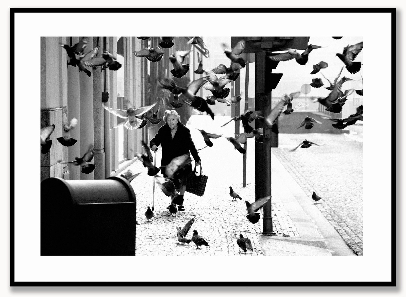 POMBAS / PORTO PORTUGAL