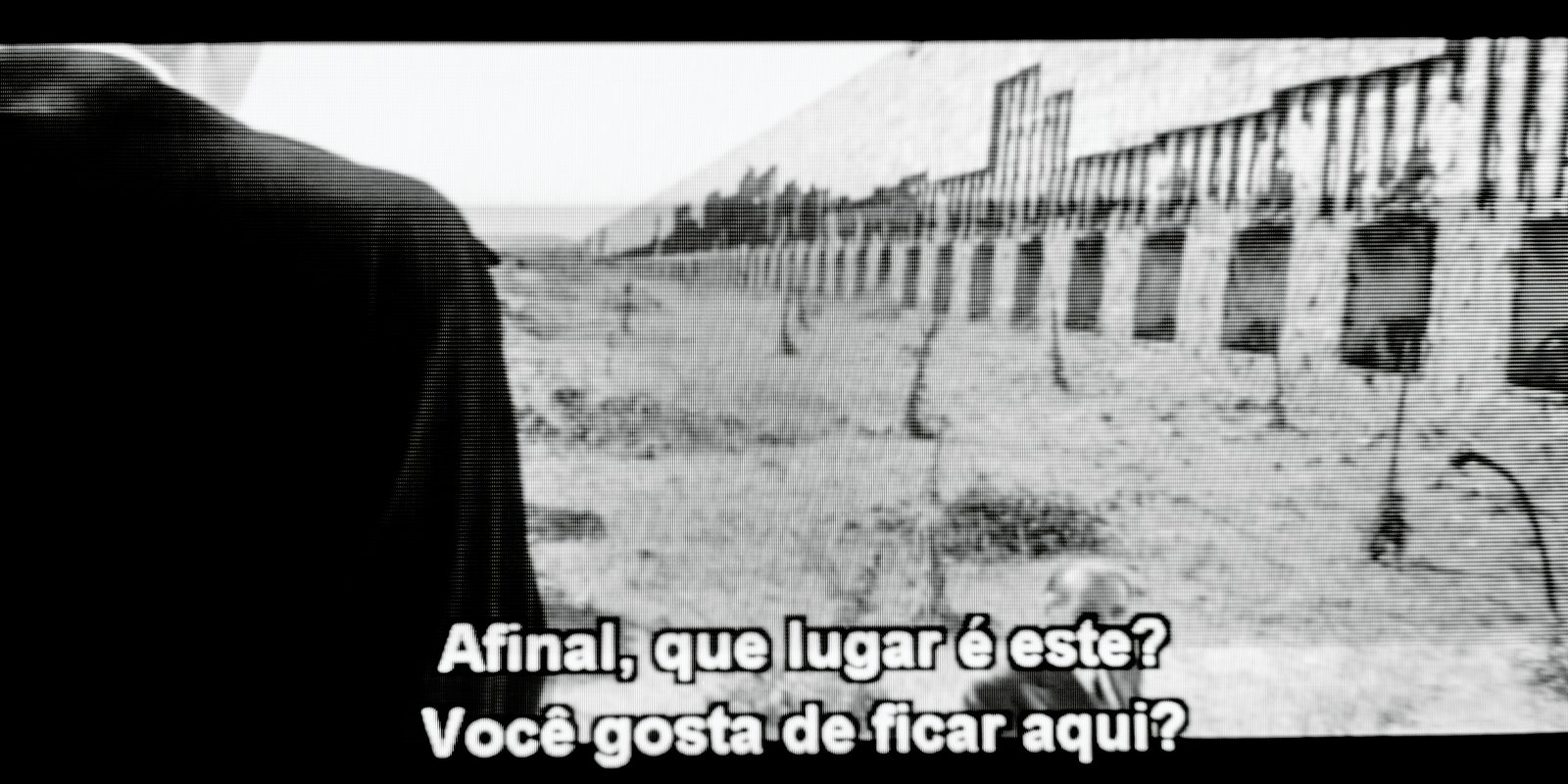 Afinal, que lugar é este?, 2015